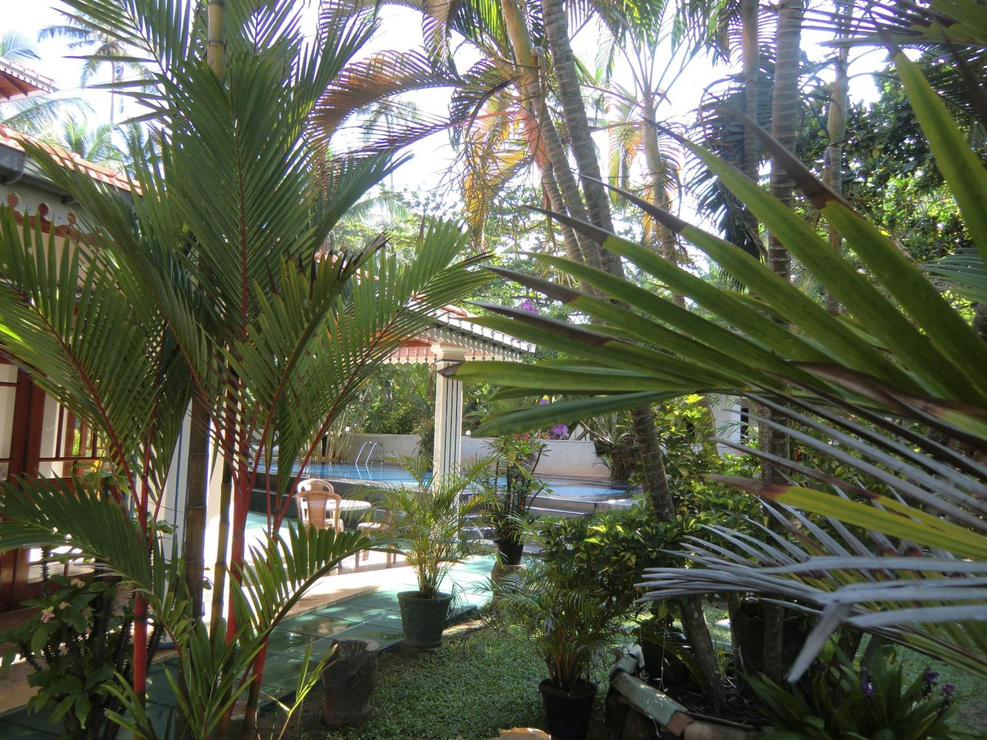 The Oasis Villa Hikkaduwa Esterno foto